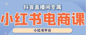 小红书电商高级运营课程,实操教学+案例分析-知一资源网