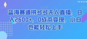 蓝海赛道拼多多无人直播,日入2600+,0成本变现,小白也能轻松上手【揭秘】-知一资源网