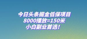 今日头条掘金低保项目，8000播放=150米，小白副业首选【揭秘】-知一资源网