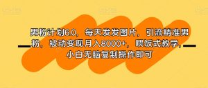 男粉计划6.0,每天发发图片,引流精准男粉,被动变现月入8000+,喂饭式教学,小白无脑复制操作即可-知一资源网