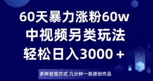 60天暴力涨粉60W，中视频另类玩法，日入3000＋，几分钟一条原创作品多种变现方式-知一资源网