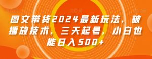 图文带货2024最新玩法，破播放技术，三天起号，小白也能日入500+【揭秘】-知一资源网