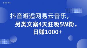 抖音邂逅网易云音乐,另类文案4天狂吸5W粉,日赚1000+【揭秘】-知一资源网