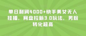 单日利润4000+快手美女无人挂播,网盘拉新3.0玩法,男粉转化超高【揭秘】-知一资源网