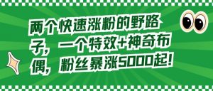 两个快速涨粉的野路子,一个特效+神奇布偶,粉丝暴涨5000起【揭秘】-知一资源网