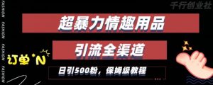 最新情趣项目引流全渠道,自带高流量,保姆级教程,轻松破百单,日引500+粉【揭秘】-知一资源网