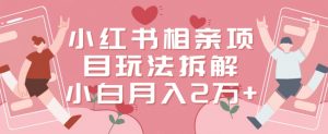 小红书相亲项目玩法拆解,有人通过这个副业项目做到了月收入2万多【揭秘】-知一资源网