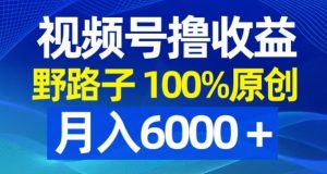 视频号野路子撸收益,100%原创,条条爆款,月入6000+【揭秘】-知一资源网
