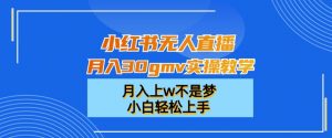 小红书无人直播月入30gmv实操教学,月入上w不是梦,小白轻松上手【揭秘】-知一资源网