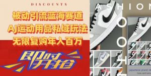 被动引流蓝海赛道,AJ运动用品私域玩法,无限复购年入百万【揭秘】-知一资源网