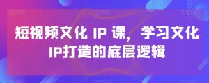 短视频文化IP课,学习文化IP打造的底层逻辑-知一资源网