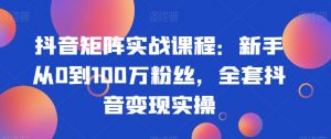 抖音矩阵实战课程:新手从0到100万粉丝,全套抖音变现实操-知一资源网