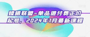 臻曦联盟-单品微付费正价起号，2024年1月最新课程-知一资源网