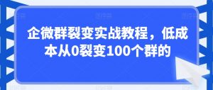 企微群裂变实战教程,低成本从0裂变100个群的-知一资源网