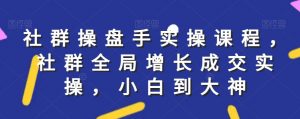 社群实操课程,社群全局增长成交实操,小白到大神-知一资源网