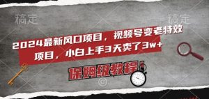 2024最新风口项目,视频号变老特效项目,电脑小白上手3天卖了3w+,保姆级教程【揭秘】-知一资源网