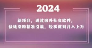 2024新项目,通过国外社交软件,快速涨粉精准引流,轻松做到月入上万【揭秘】-知一资源网