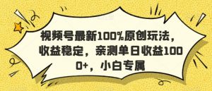 视频号最新100%原创玩法,收益稳定,亲测单日收益1000+,小白专属【揭秘】-知一资源网