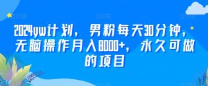 2024yw计划,男粉每天30分钟,无脑操作月入8000+,永久可做的项目【揭秘】-知一资源网