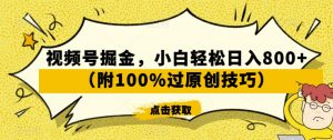 视频号掘金，小白轻松日入800+（附100%过原创技巧）【揭秘】-知一资源网