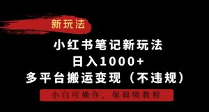 小红书笔记新玩法,日入1000+,多平台搬运变现(不违规),小白可操作,保姆级教程【揭秘】-知一资源网