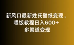新风口最新姓氏壁纸变现,喂饭教程日入600+【揭秘】-知一资源网