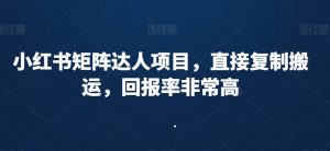 小红书矩阵达人项目,直接复制搬运,回报率非常高-知一资源网