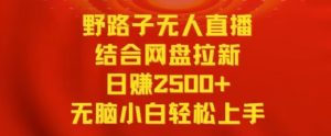 野路子无人直播结合网盘拉新,日赚2500+,小白无脑轻松上手【揭秘】-知一资源网