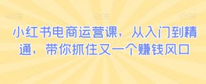 小红书电商运营课,从入门到精通,带你抓住又一个赚钱风口-知一资源网