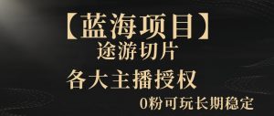 一天收入2000+,最新中视频创新玩法,用AI科技一键改唱影解说刷爆流量收益【揭秘】-知一资源网