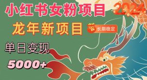 小红书女粉头像项目,单日变现5000+,适合在家做的副业,长期稳定【揭秘】-知一资源网