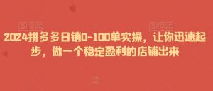 2024拼多多日销0-100单实操,让你迅速起步,做一个稳定盈利的店铺出来-知一资源网