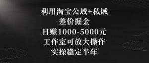 利用淘宝公域+私域差价掘金，日赚1000-5000元，工作室可放大操作，实操稳定半年【揭秘】-知一资源网