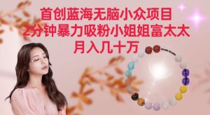 首创蓝海无脑小众项目，2分钟暴力吸粉小姐姐富太太，月入几十万【揭秘】-知一资源网