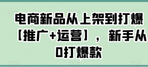 电商新品从上架到打爆【推广+运营】,新手从0打爆款-知一资源网