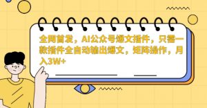 全网首发，AI公众号爆文插件，只需一款插件全自动输出爆文，矩阵操作，月入3W+【揭秘】-知一资源网