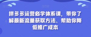 拼多多运营必学体系课,带你了解最新流量获取方法、帮助你降低推广成本-知一资源网
