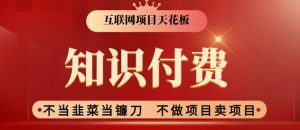 2024互联网项目天花板,新手小白也可以通过知识付费月入10W,实现财富自由【揭秘】-知一资源网