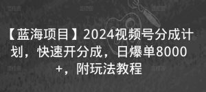 【蓝海项目】2024视频号分成计划，快速开分成，日爆单8000+，附玩法教程-知一资源网