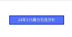24年315暴力引流方针-知一资源网