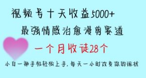 十天收益5000+,多平台捞金,视频号情感治愈漫剪,一个月收徒28个,小白一部手机轻松上手【揭秘】-知一资源网