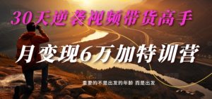 30天逆袭视频带货高手,单月变现6万加特训营-麦子甜-知一资源网