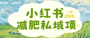 小红书减肥粉,私域变现项目,一单就达210元,小白也能轻松上手【揭秘】-知一资源网