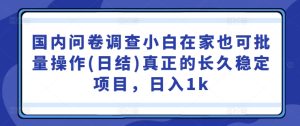国内问卷调查小白在家也可批量操作(日结)真正的长久稳定项目,日入1k【揭秘】-知一资源网