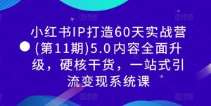 小红书IP打造60天实战营(第11期)5.0内容全面升级,硬核干货,一站式引流变现系统课-知一资源网