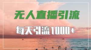 抖音快手视频号全平台通用,无人直播引流法,超暴力引流1000+高质量精准创业粉【揭秘】-知一资源网