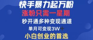 快手暴力起万粉,涨粉只需一星期,多种变现模式,直接秒开万合,单月变现过W【揭秘】-知一资源网