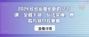 2024多多运营必听的12节课,全程干货,玩法实操,爆款方案尽在掌握-知一资源网