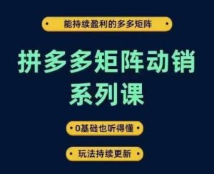 拼多多矩阵动销系列课，能持续盈利的多多矩阵，0基础也听得懂，玩法持续更新-知一资源网
