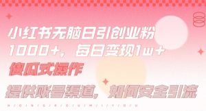 小红书无脑每日引流创业粉500+，小白每天只花半小时，躺赚长尾收益【揭秘】-知一资源网